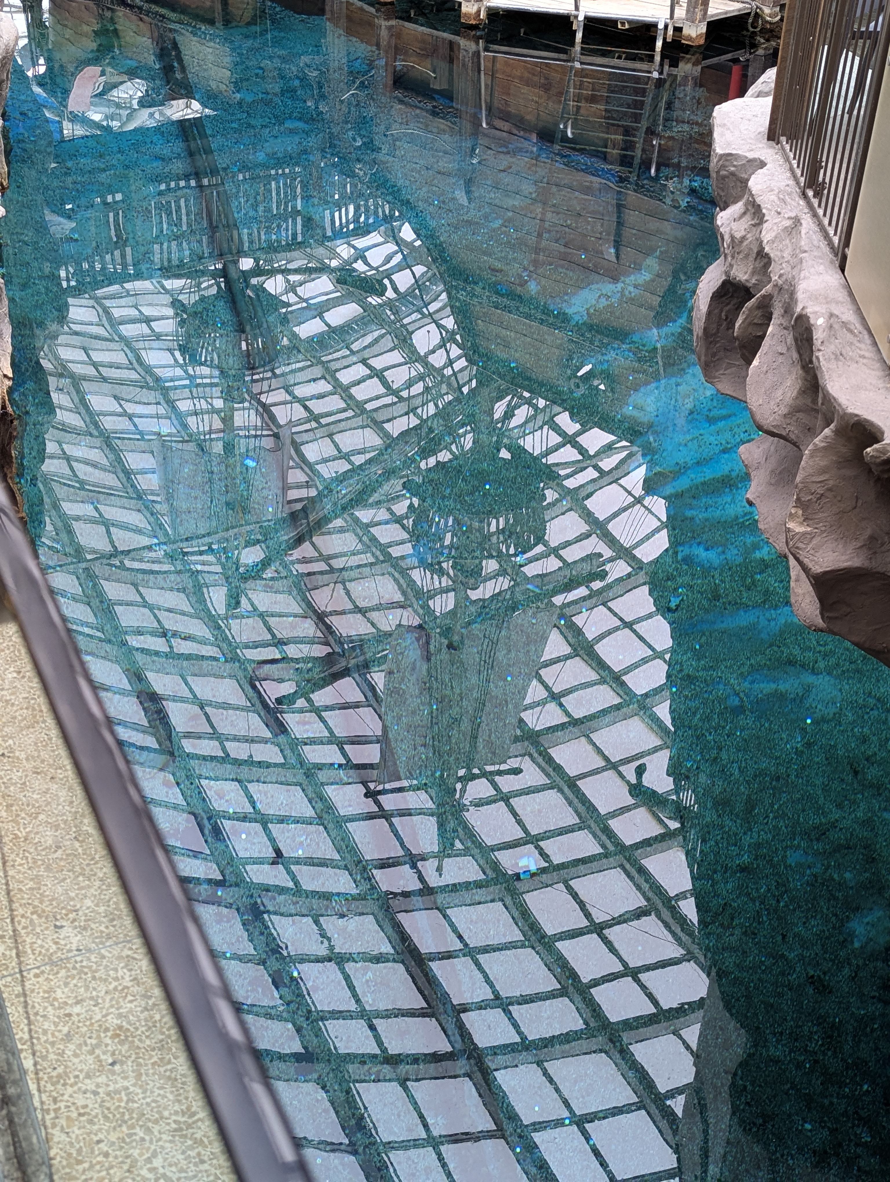 Birthday Trip to Canada, West Edmonton Mall